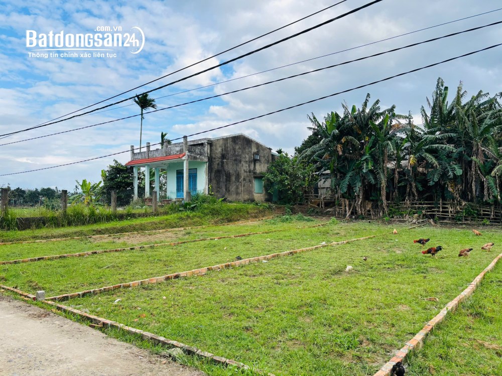 Bán đất Đường ĐT 605, Xã Điện Bàn Tây (Huyện Điện Bàn cũ), Đà Nẵng