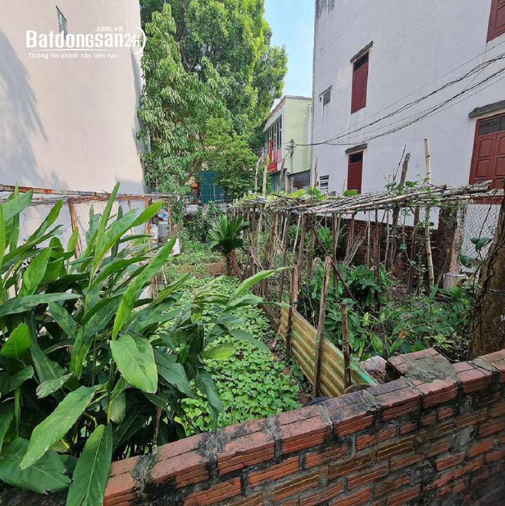 Bán đất Đường Dương Đức Hiền, Xã Thuận An (H Gia Lâm cũ), TP Hà Nội