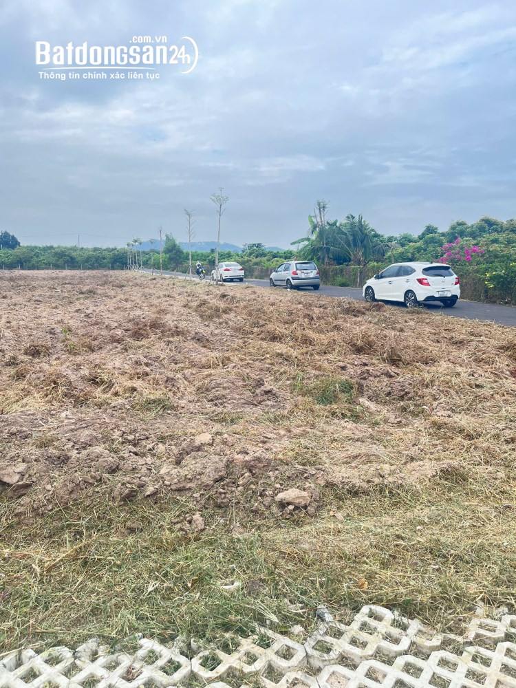 Bán đất Đường Tỉnh lộ 329, Xã Hòa Hội (Huyện Xuyên Mộc cũ), TP Hồ Chí Minh