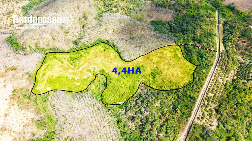 Bán đất Đường Quốc lộ 14, Xã Kiến Đức (Huyện Dăk RLấp cũ), Tỉnh Lâm Đồng