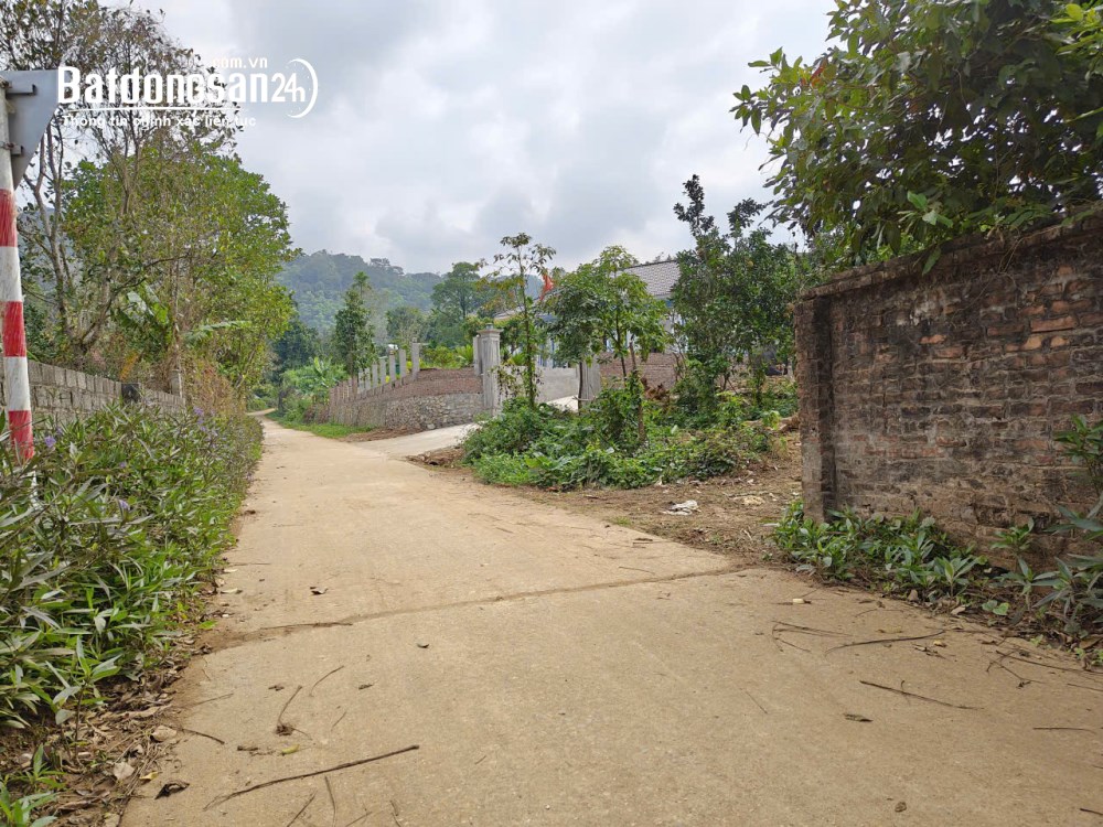 Bán đất Xã Ba Vì (H Ba Vì cũ), Hà Nội