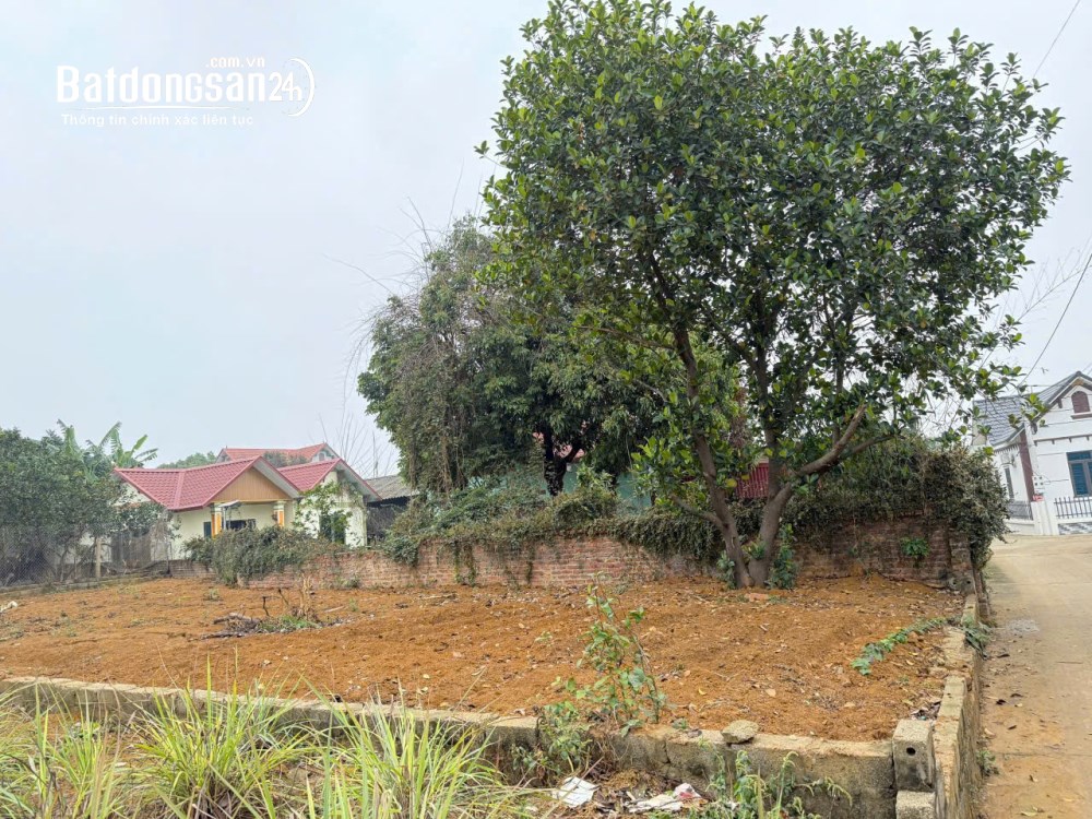 Bán đất Xã Phú Cát (H Quốc Oai cũ), TP Hà Nội