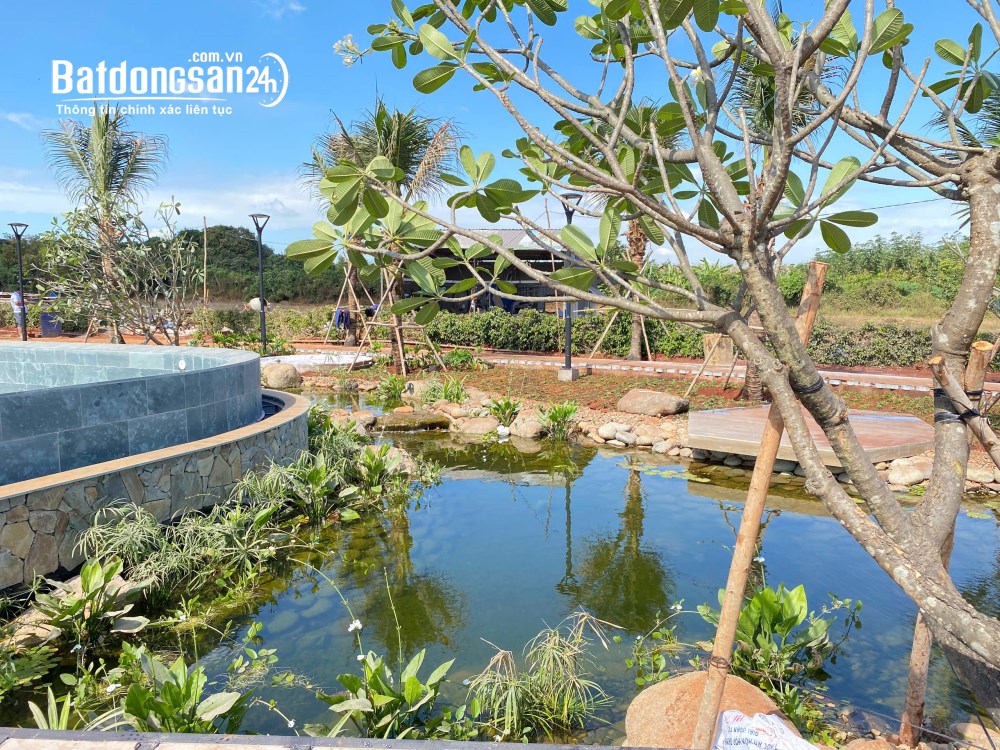 Bán đất LumiAn Village - Cập nhật tiến độ khu tiện ích 4000m2 99% trước tết Bính Ngọ