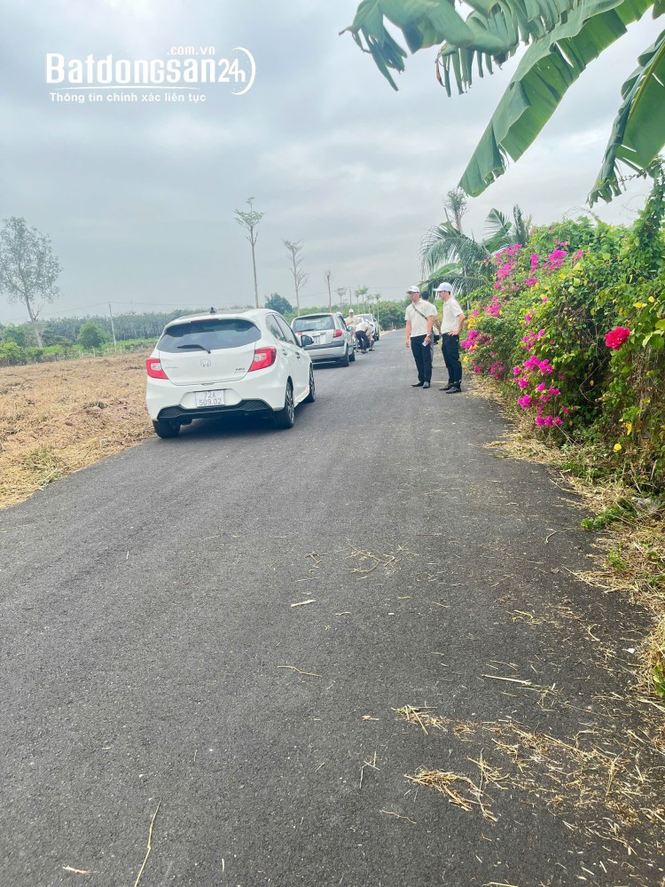 🏡 GIÁ MỀM DỄ ĐẦU TƯ/ 7xx 💰8xx/ nền, Tỉnh lộ 329, Xã Hòa Hội (Huyện Xuyên Mộc cũ)