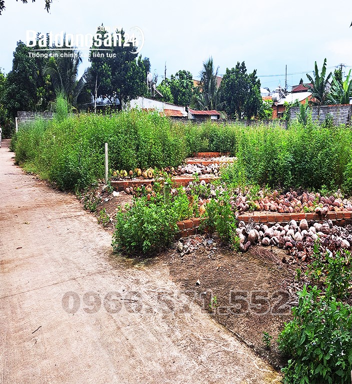 200 𝐦² Đất thổ cư, nở hậu, ngay chợ và trường học, Chỉ 700tr là sở hữu! Long Khánh!