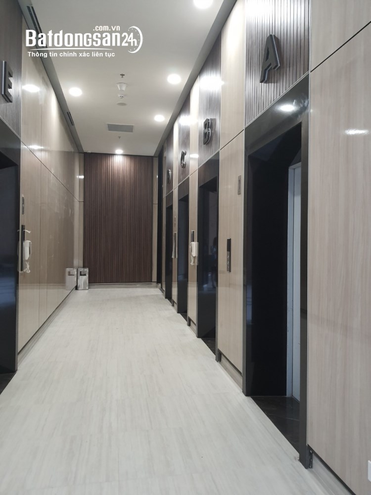 Bán căn hộ Lavida Plus, Đường Nguyễn Văn Linh, Phường Tân Hưng (Quận 7 cũ)