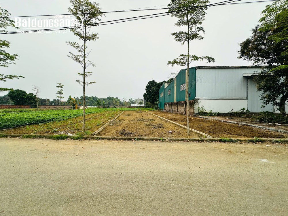 100M2 FULL ĐẤT Ở, GẦN ĐƯỜNG QL21 VÀ TL446, Xã Phú Cát (H Quốc Oai cũ)