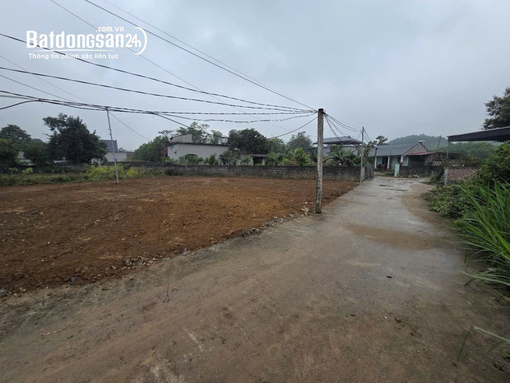 Bán đất Xã An Nghĩa (Huyện Lạc Thủy cũ), Phú Thọ
