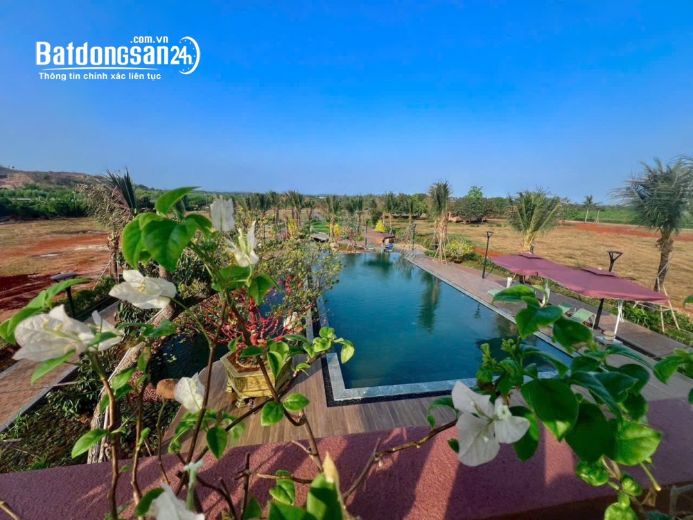 Bán đất Đường 52, Xã Đất Đỏ (Huyện Đất Đỏ cũ), Hồ Chí Minh