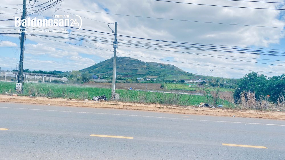 3 héc ta mặt tiền dt724, phú hội cũ, đức trọng, lâm đồng