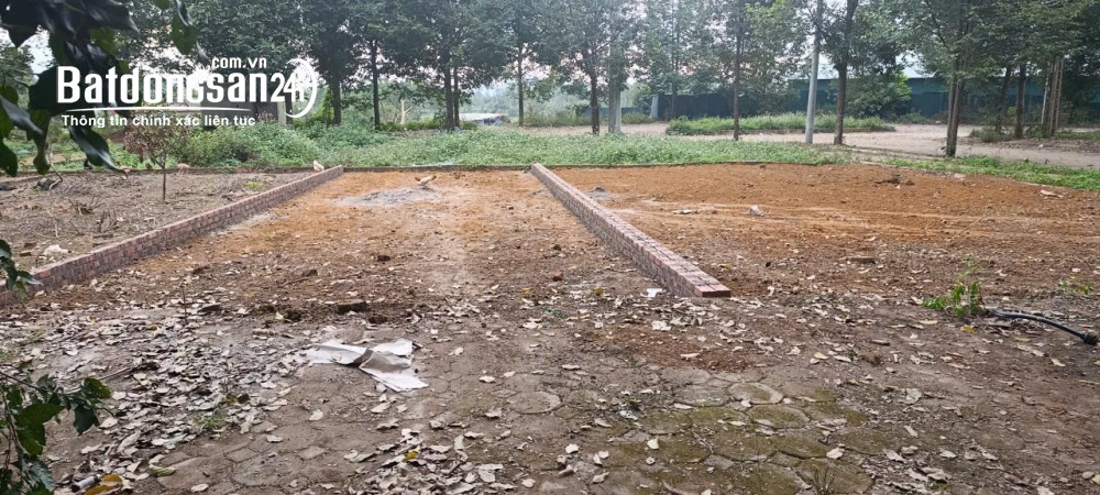 Bán đất Đường 21A, Xã Quốc Oai (H Quốc Oai cũ), Hà Nội