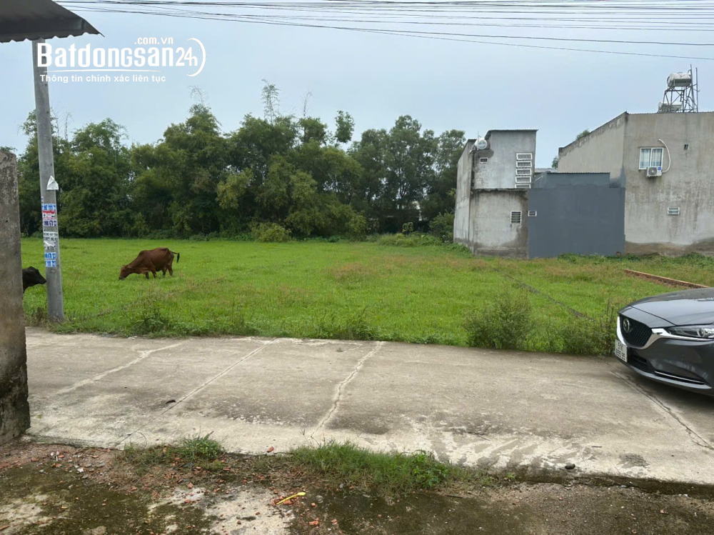 Bán đất Xã Mỹ Hạnh (Huyện Đức Hoà cũ), Tây Ninh