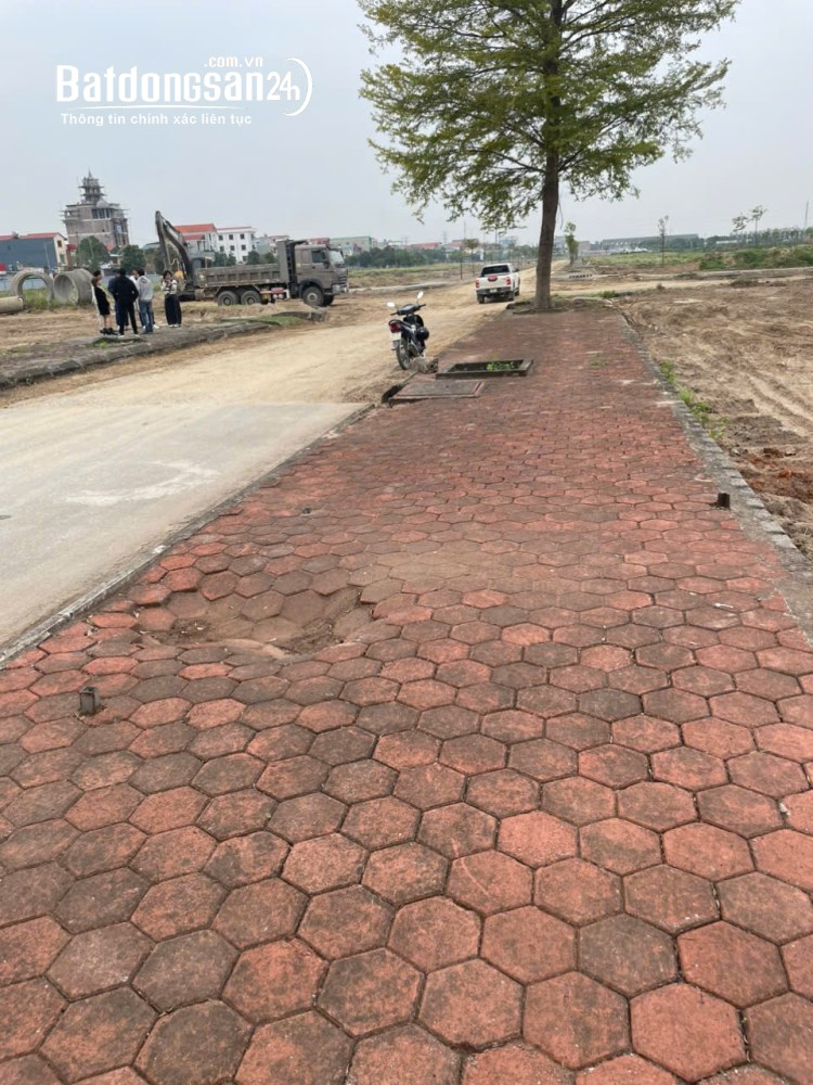 Bán đất nền phân lô Đường 282, Phường Thuận Thành (TX Thuận Thành cũ), Bắc Ninh