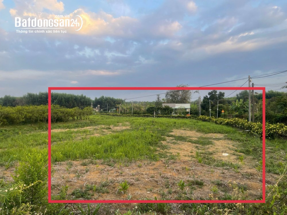 Bán đất 2600m2 mặt tiền kinh doanh đường DT 768 (X. Trị An) chỉ 16 tỉ