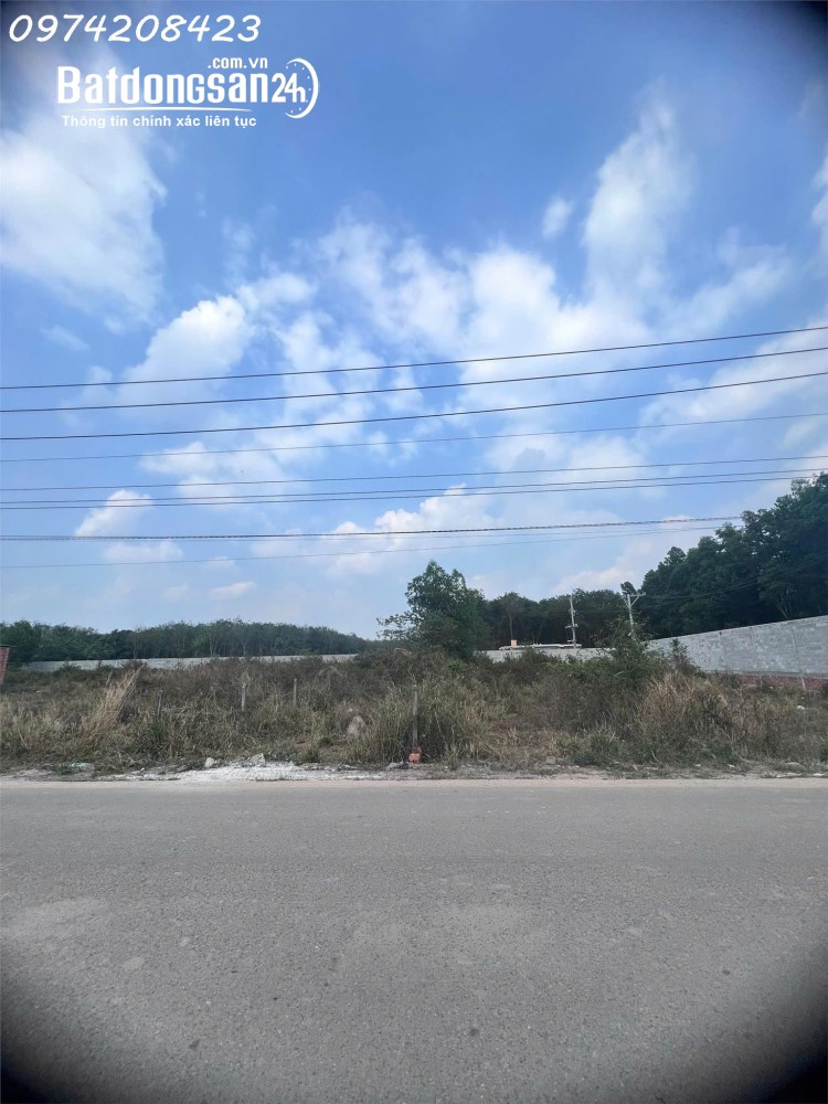 🎉🎉 Chính chủ cần tiền bán gấp lô đất siêu đẹp 250m2 tại Tp. HCM mới, giá đầu tư
