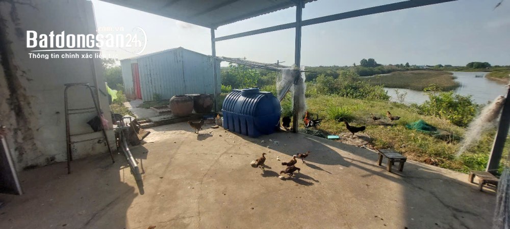 CƠ HỘI VÀNG: SỞ HỮU 1,8 HÉCTA ĐẤT THỦY SẢN – TẶNG NGAY NHÀ KIÊN CỐ FULL NỘI THẤT
