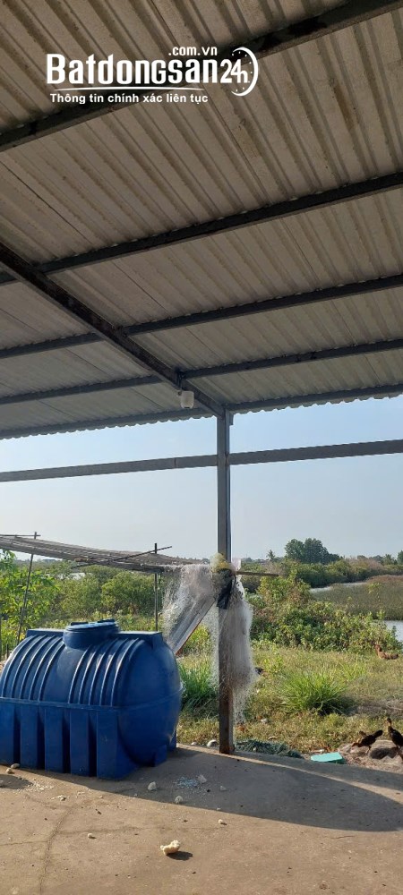CƠ HỘI VÀNG: SỞ HỮU 1,8 HÉCTA ĐẤT THỦY SẢN – TẶNG NGAY NHÀ KIÊN CỐ FULL NỘI THẤT