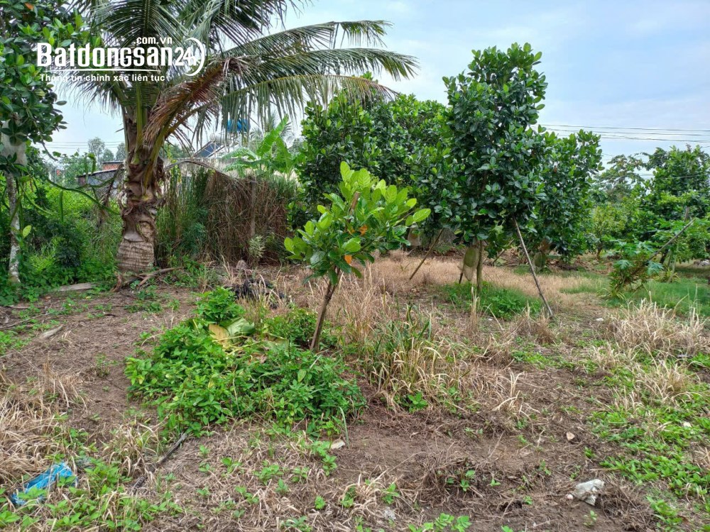 Bán đất Phường Phước Hậu (TP Vĩnh Long cũ), Vĩnh Long
