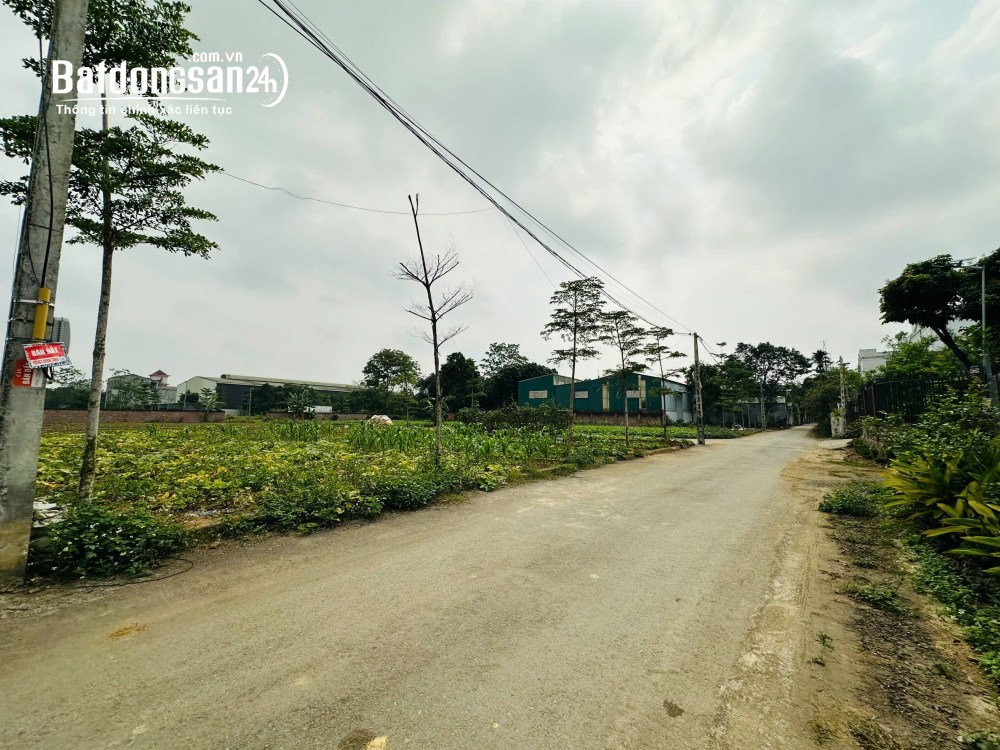 Bán đất Đường Quốc lộ 21A, Xã Phú Cát (H Quốc Oai cũ), Hà Nội
