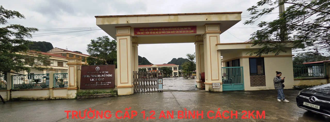 🚨 2xx triệu – đất an bình đang bị mua sạch từng lô