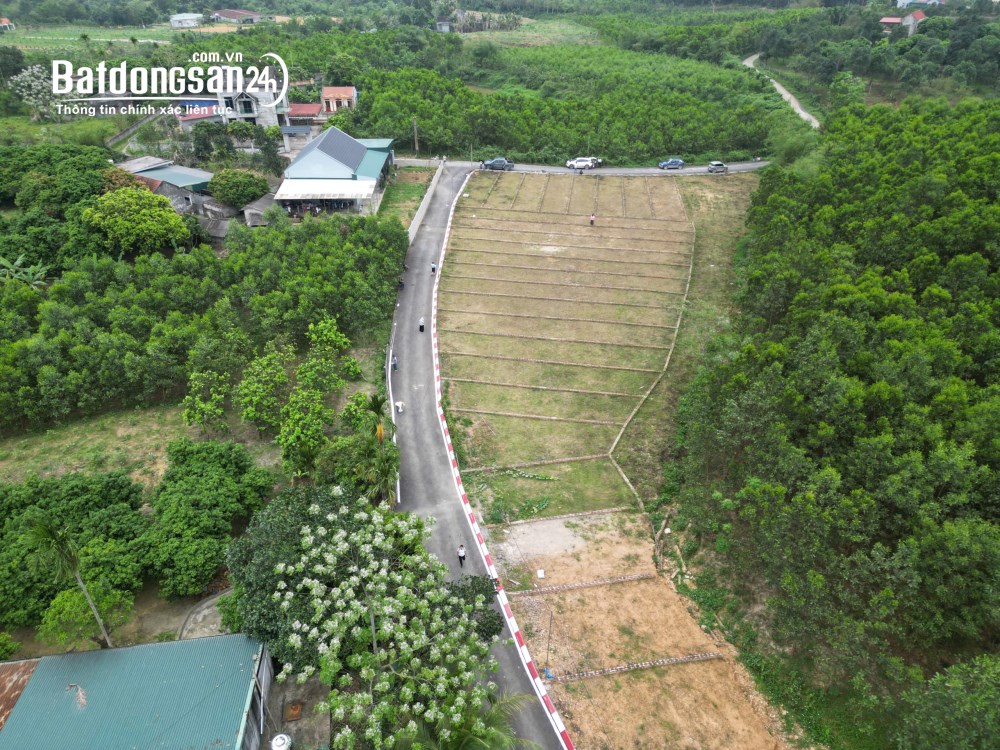🚨 2xx triệu – đất an bình đang bị mua sạch từng lô