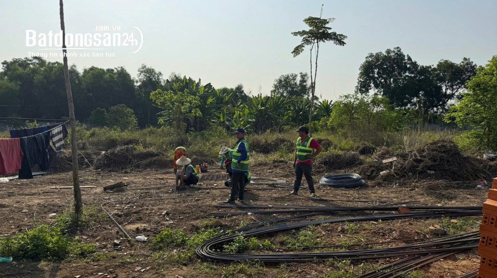 Bán đất Đường Hồ Văn Cống, Phường Chánh Hiệp (Thủ Dầu Một cũ), Hồ Chí Minh