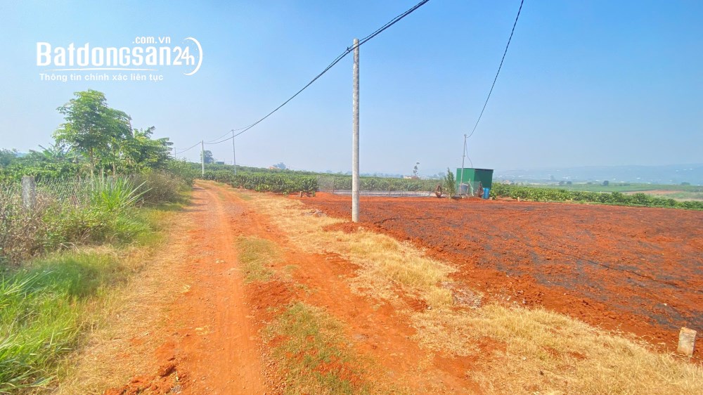 Bán đất Đường ĐT 724, Xã Tân Hội (Huyện Đức Trọng cũ), Tỉnh Lâm Đồng