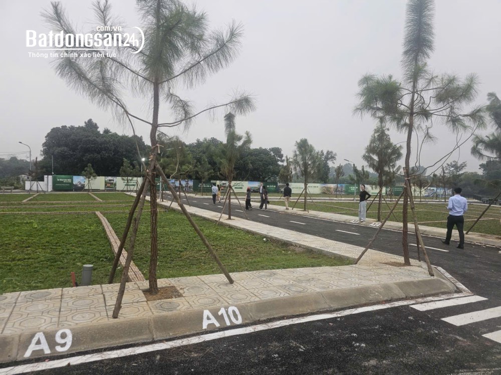 Bán đất Phường Sơn Tây (TX Sơn Tây cũ), Hà Nội