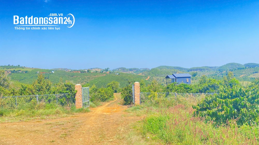 Bán đất (37.000m2), Đường Quốc lộ 28B, Xã Ninh Gia (Huyện Đức Trọng cũ), Tỉnh Lâm Đồng