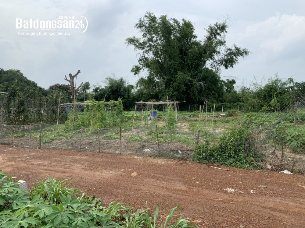 Chính chủ cần bán 5 lô đất, 1000m2/lô, Xã Đất Đỏ (Huyện Đất Đỏ cũ), TP Hồ Chí Minh