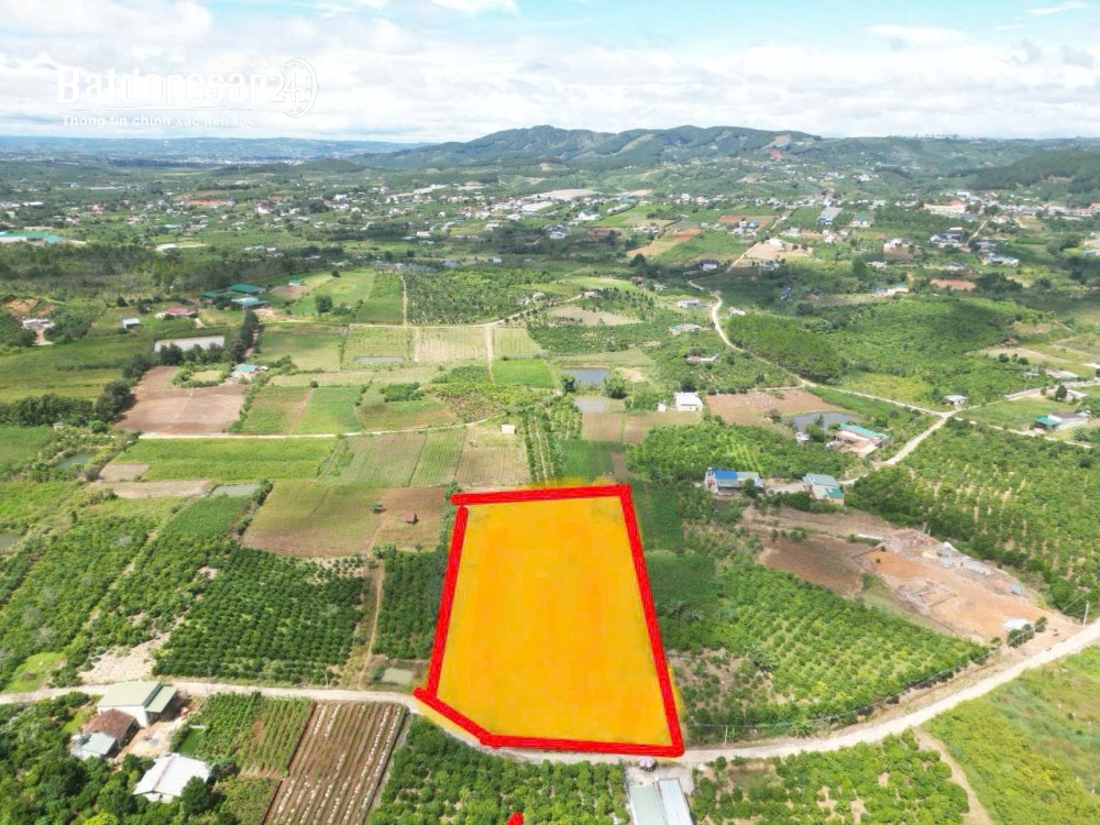 Bán đất (60x130m - 400m2 thổ cư) Gia lâm, Xã Nam Ban Lâm Hà (Huyện Lâm Hà cũ), Lâm Đồng