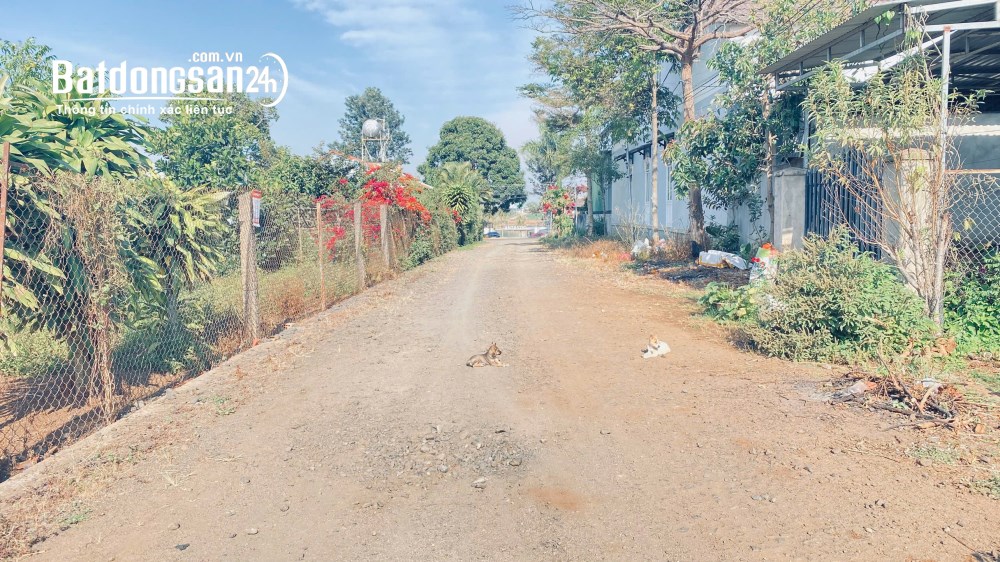 Bán 2 lô đất nhánh Đường Lý Thái Tổ, Xã Đức Trọng (Huyện Đức Trọng cũ), Tỉnh Lâm Đồng