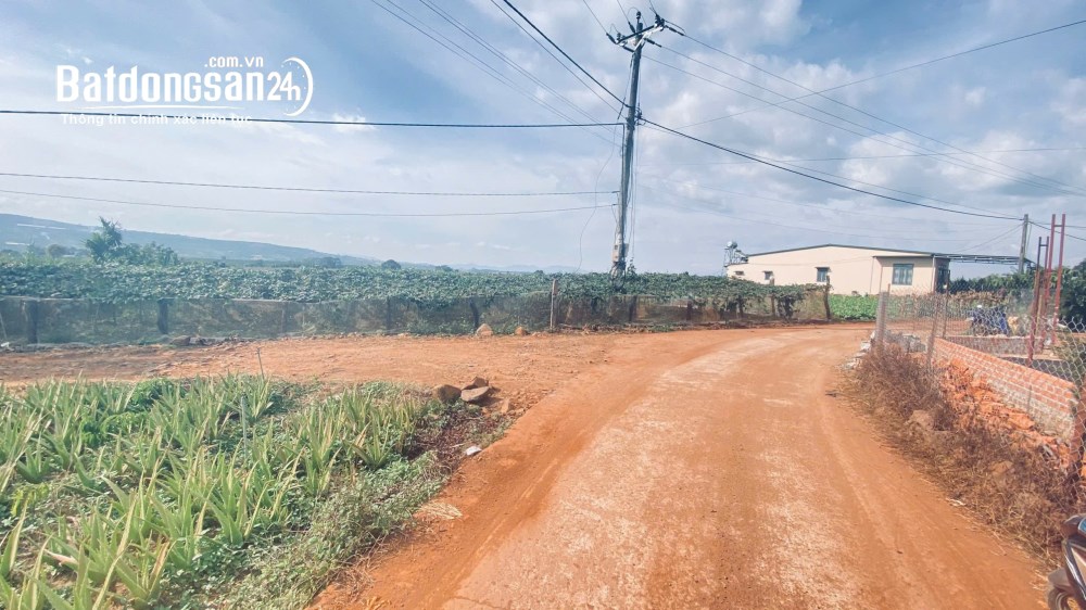 Bán đất gần 1,1ha, hẻm Ba Càn, Xã Tân Hội (Huyện Đức Trọng cũ), Tỉnh Lâm Đồng -  Giá 11,5 tỷ