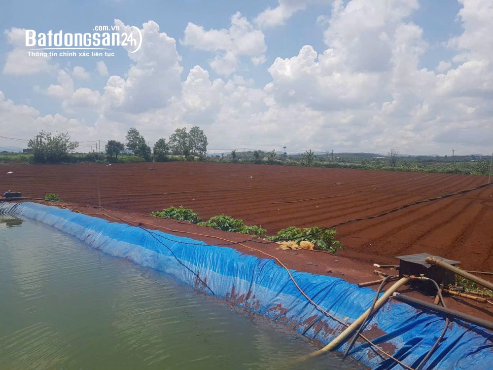 Bán đất 2ha thuộc n,thôn hạ, Xã Tân Hội (Huyện Đức Trọng cũ), Tỉnh Lâm Đồng - 600 tr/sào