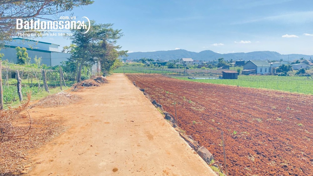 Bán 4 lô đất hẻm tổ 33, Xã Đức Trọng (Huyện Đức Trọng cũ), Tỉnh Lâm Đồng
