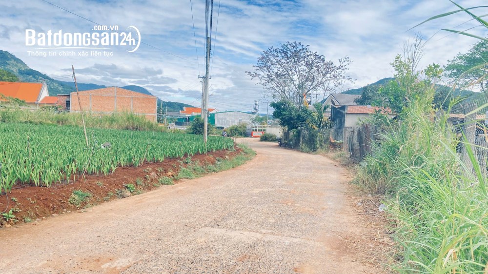 Bán đất hẻm QL27, Xã Hiệp Thạnh (Huyện Đức Trọng cũ), Tỉnh Lâm Đồng