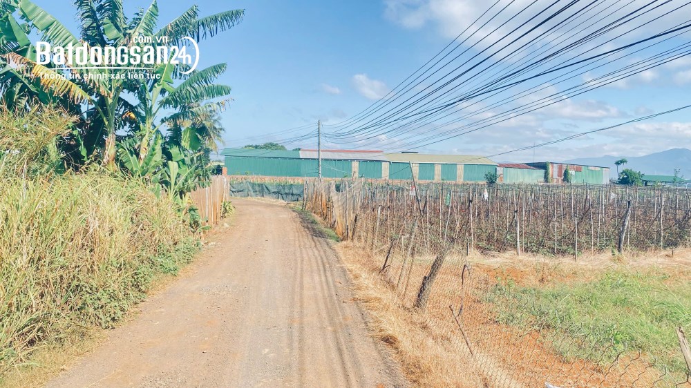 Bán đất 1400m2 Đường Hàn Thuyên, Xã Đức Trọng (Huyện Đức Trọng cũ), Tỉnh Lâm Đồng