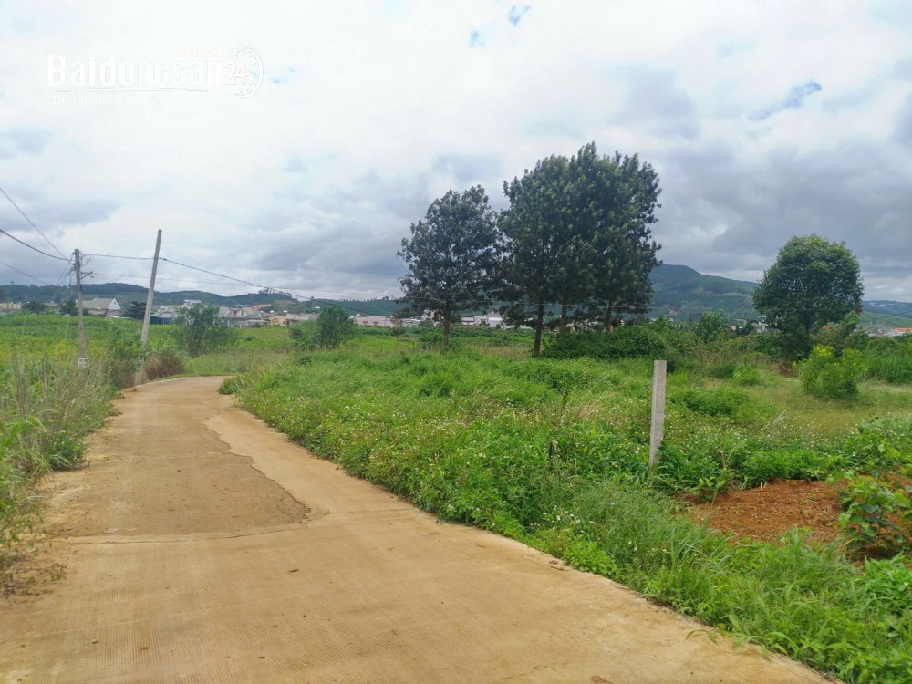 Bán đất 318m2, giá rẻ, Xã Đinh Văn Lâm Hà (Huyện Lâm Hà cũ), Tỉnh Lâm Đồng