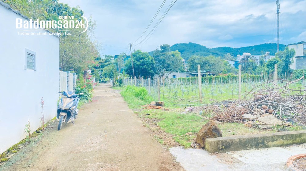 Bán 1,2 sào đất đẹp, gần QL20, Xã Đức Trọng (Huyện Đức Trọng cũ), Tỉnh Lâm Đồng