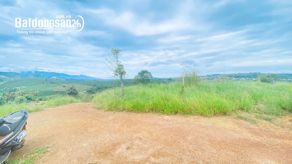 Bán 1,4ha, đất đẹp, view chill chill, Xã Ninh Gia (Huyện Đức Trọng cũ), Tỉnh Lâm Đồng