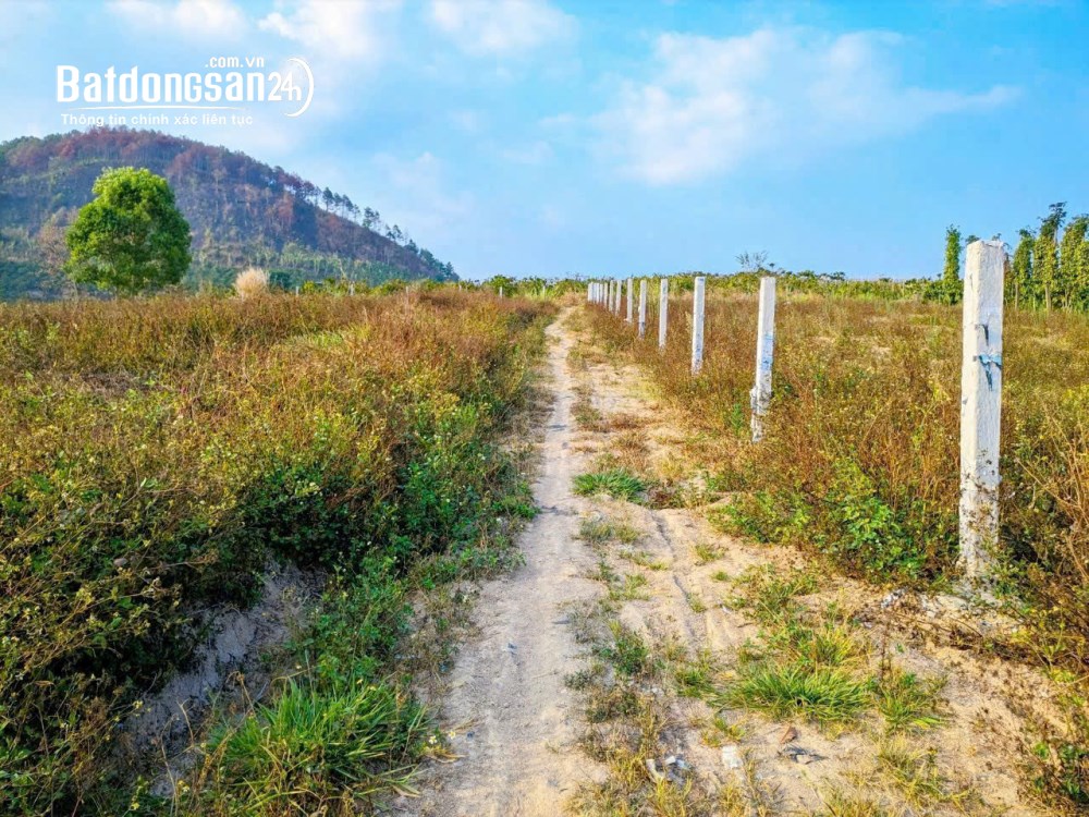 Bán 7 sào đất mặt đường nhựa vào KDL thác Pongour, (Huyện Đức Trọng cũ), Tỉnh Lâm Đồng
