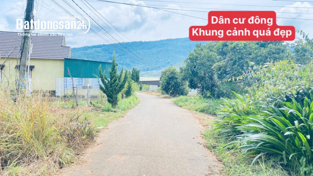 Bán đất gần QL20, view thoáng, dân đông, nhiều tiện ích, Xã Hiệp Thạnh, Lâm Đồng.