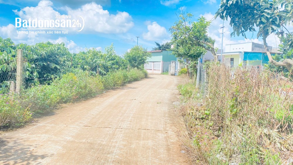 Bán đất tặng nhà vườn C4, công trình phụ đầy đủ, gần QL20, Xã Đức Trọng, Lâm Đồng.