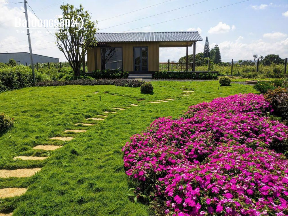Bán đất tặng nhà, view đẹp, nghỉ dưỡng, gần QL2, Xã Đức Trọng, Tỉnh Lâm Đồng.