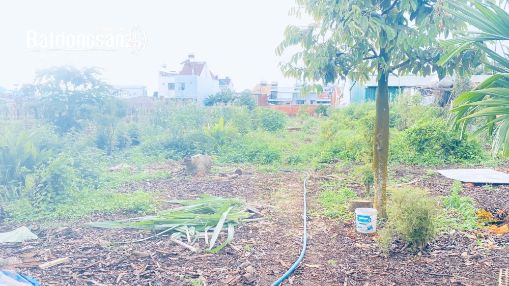 Bán đất mặt tiền, gần chợ đầu mối, trung tâm sầm uất bật nhất, Xã Đức Trọng, Lâm Đồng.