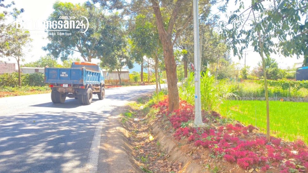 Bán gấp 3800m2 đất mặt tiền, MT 37m, nở hậu, QL 27, Xã Hiệp Thạnh, Tỉnh Lâm Đồng,