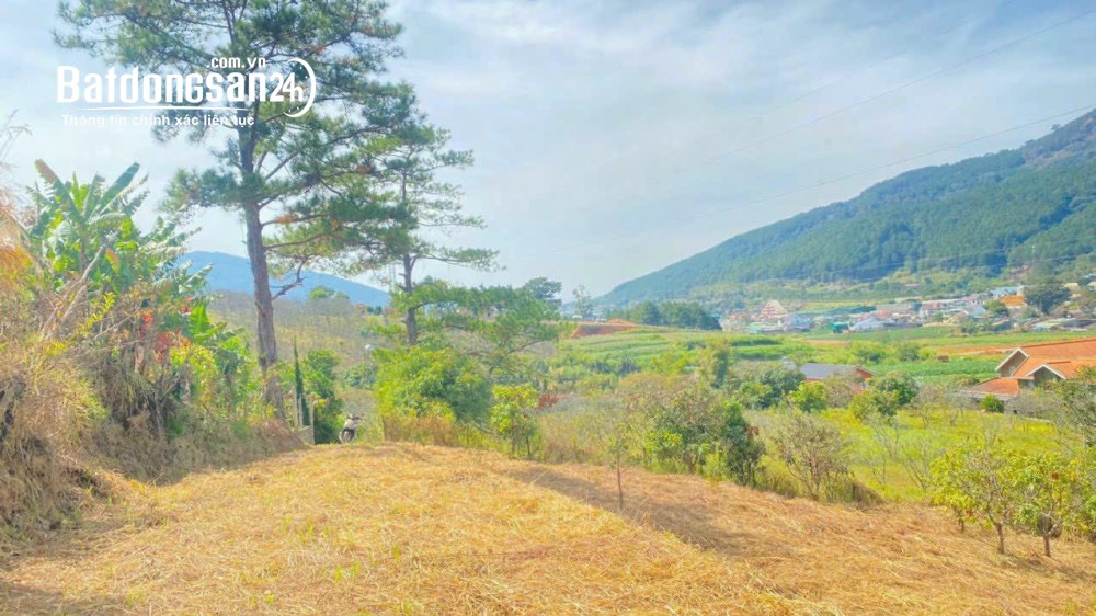Bán đất nghỉ dưỡng, 1800m2, gần QL20, chỉ 7tr/m2, Xã Hiệp Thạnh, Tỉnh Lâm Đồng