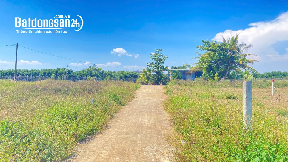 Bán đất hẻm Đường ĐT 724, Xã Đức Trọng (Huyện Đức Trọng cũ), Tỉnh Lâm Đồng