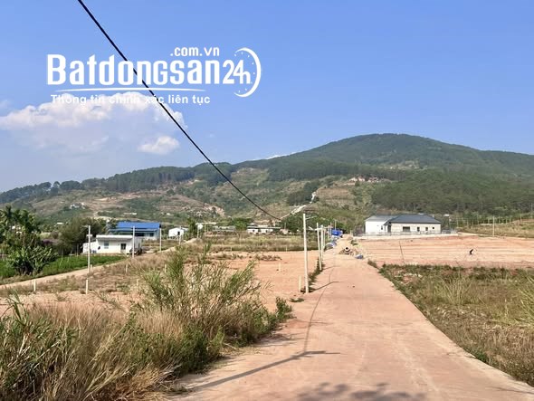 Bán đất Đường Tỉnh lộ 725, Xã Nam Ban Lâm Hà (Huyện Lâm Hà cũ), Lâm Đồng