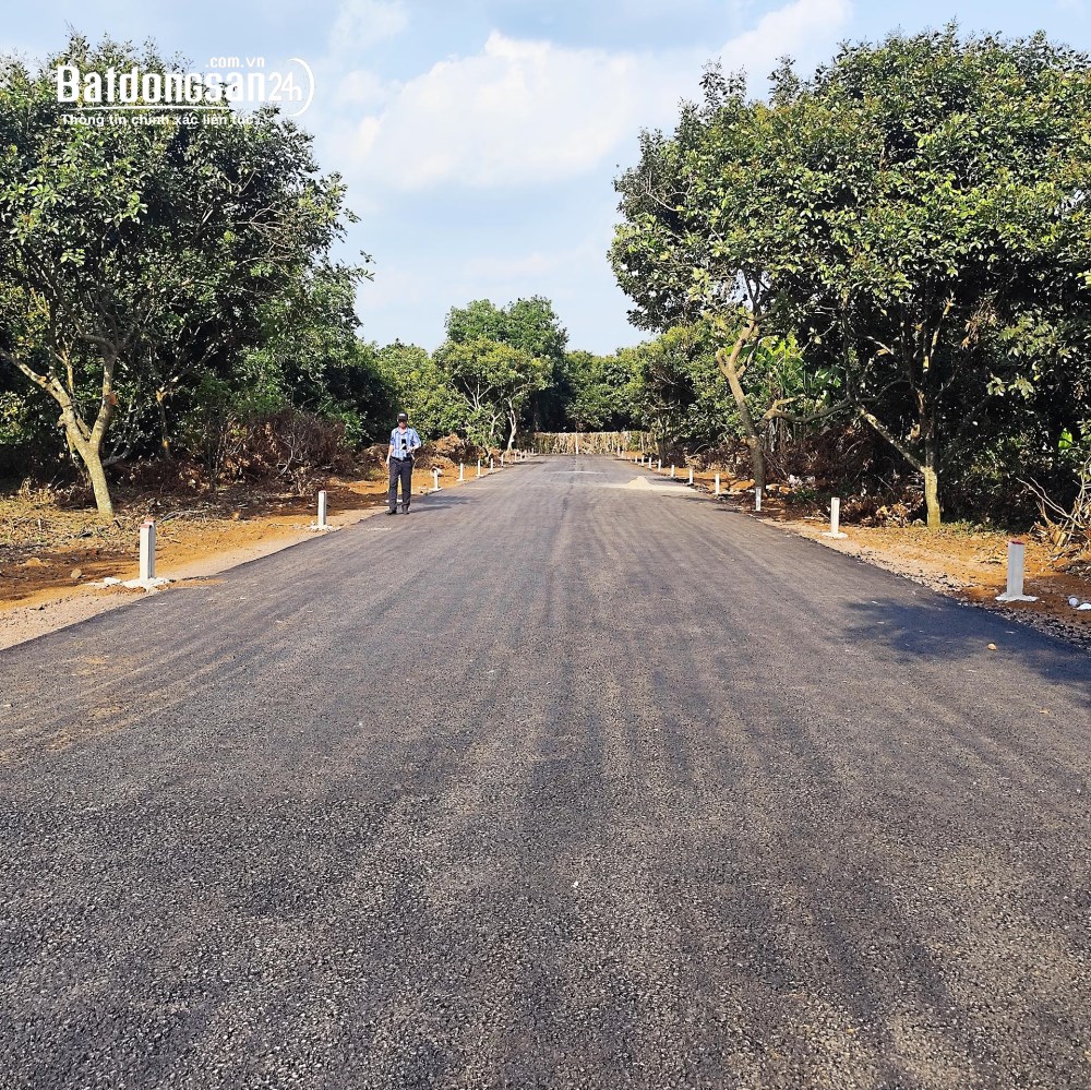 Bán đất Đường Bình Lộc, Phường Bình Lộc (TP Long Khánh cũ), Tỉnh Đồng Nai